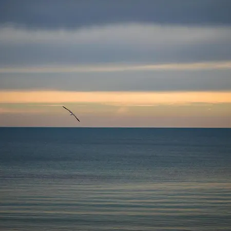 Apartment Luxury With Sea View,free Parking!