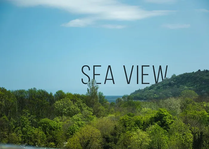 Luxury With Sea View,free Parking! 아파트 *
